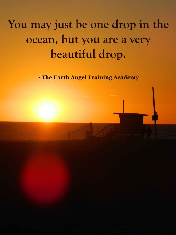 earth angel training academy