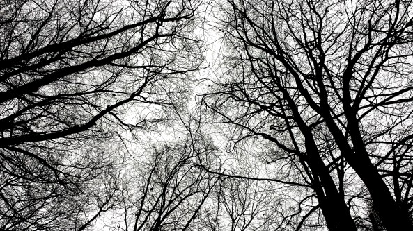 Everything is connected