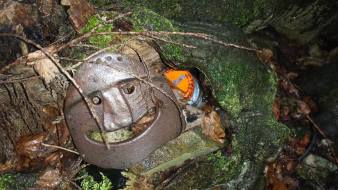 12915060_10153321893717163_889525193_o