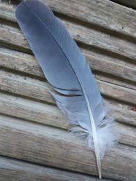 14152196_10153653339912163_601009964_o